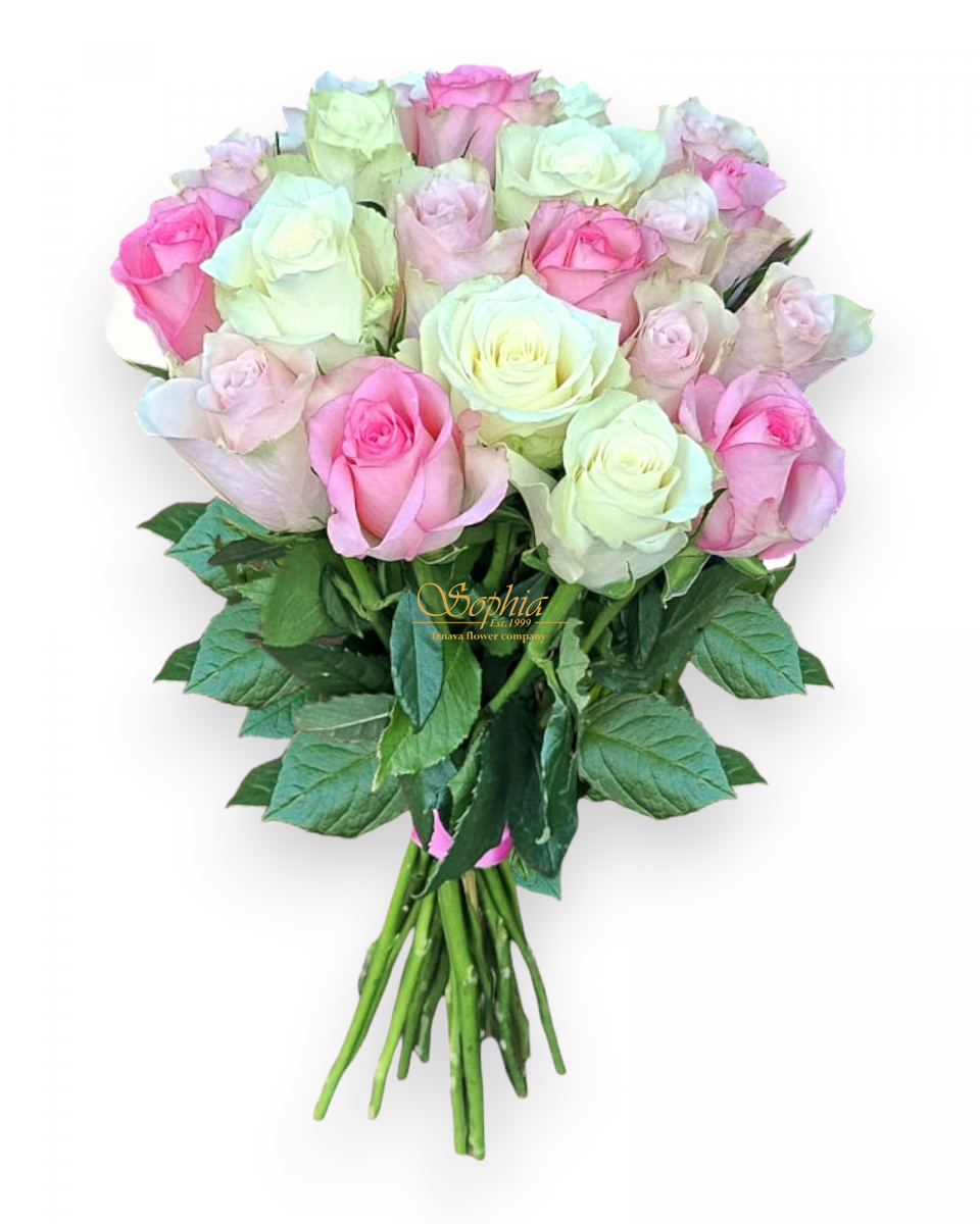 Sweet Carnival of roses (Special offer)