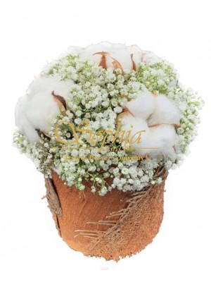 Cotton flower I.