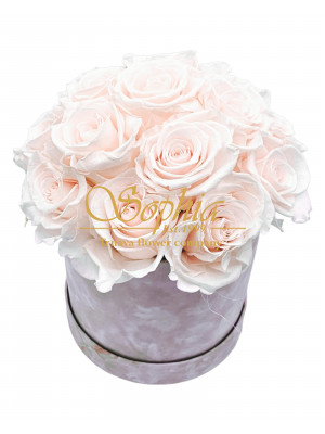 Powder Pink LUX (Večný box)