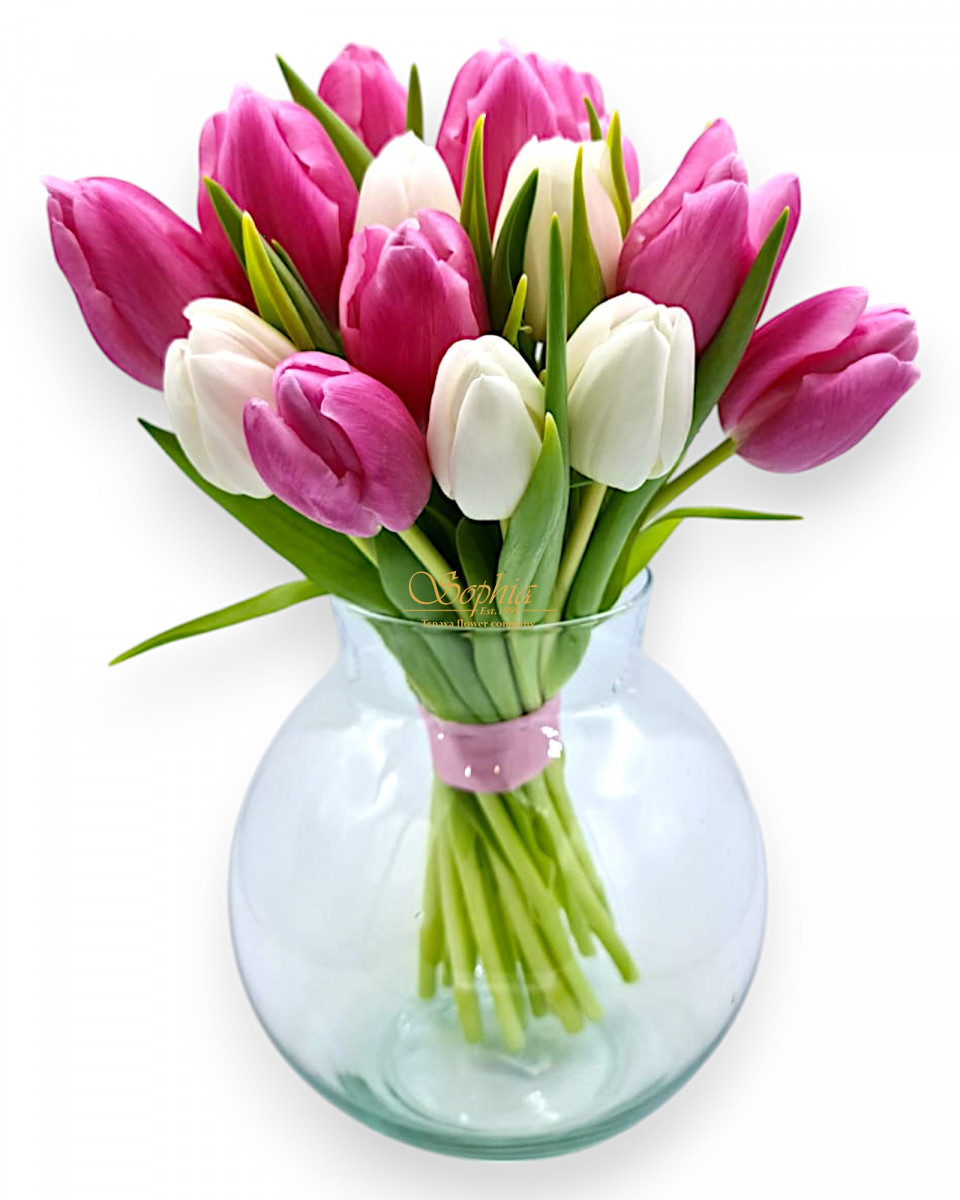 Symfónia tulipánov