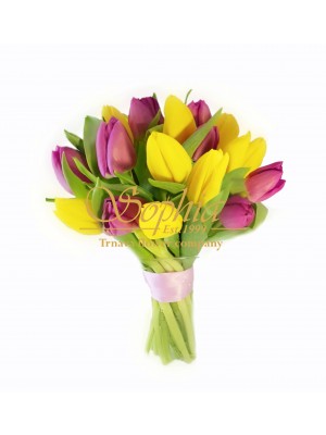 Mr. Tulip (Special offer)